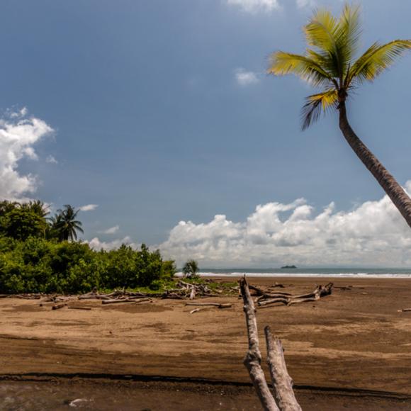 Playa Uvita